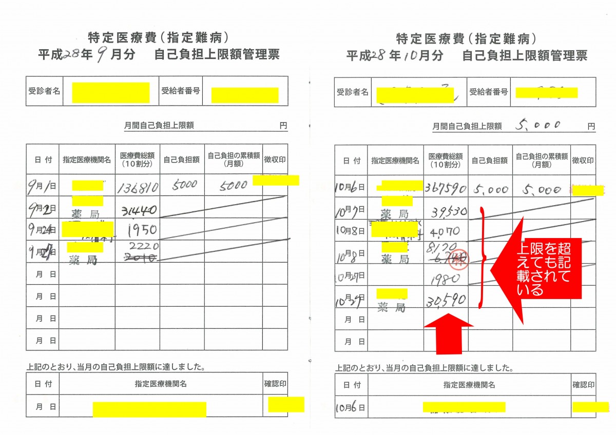 自己負担上限額管理票の内容